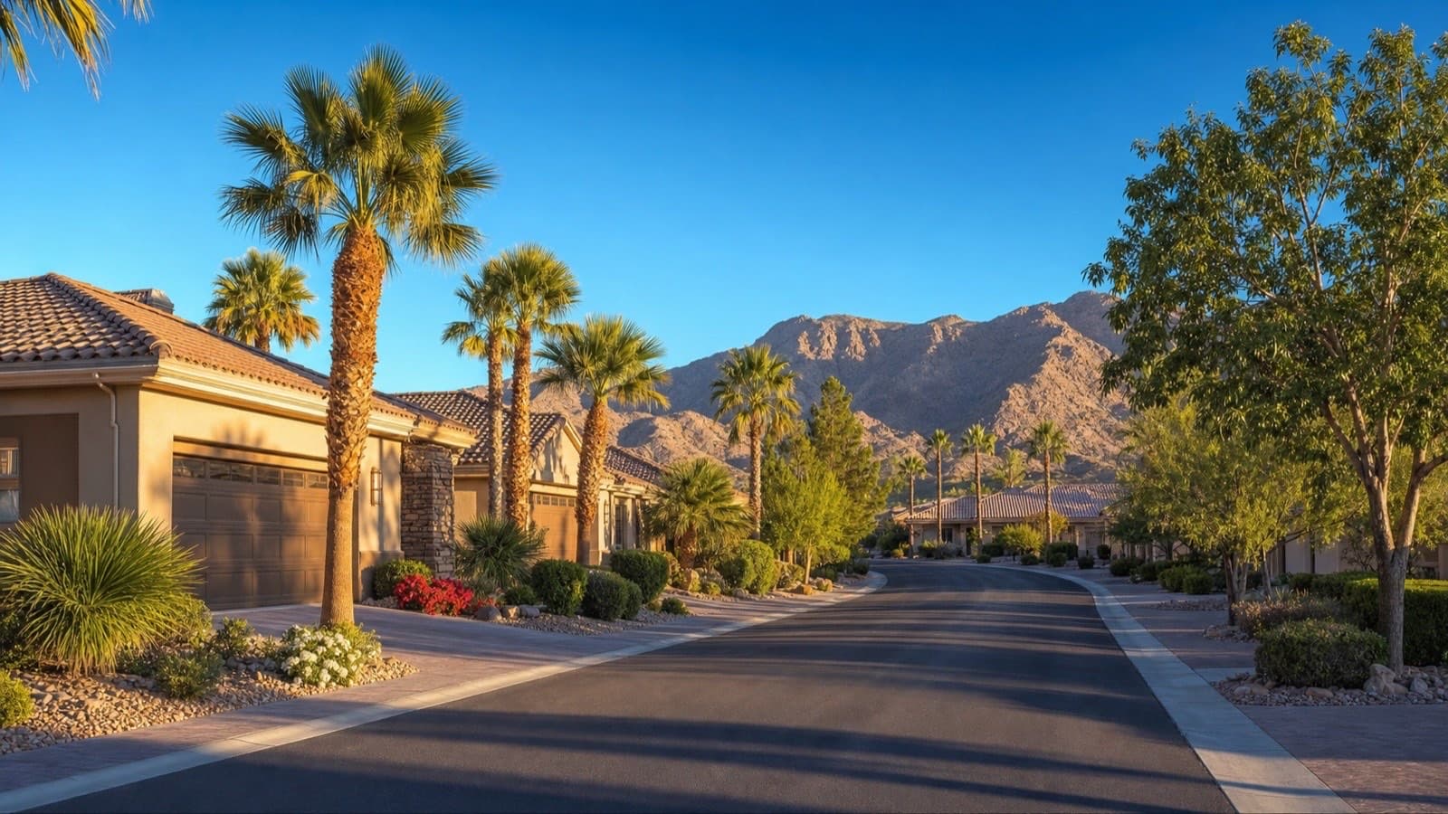 Palm-lined street of single-story homes in a Las Vegas 55+ community with mountains behind