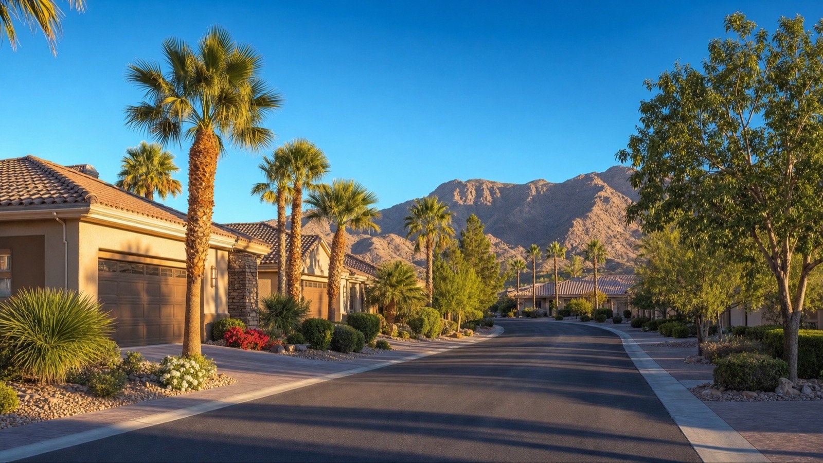 Single-story homes with desert landscaping in a Las Vegas 55+ active adult community
